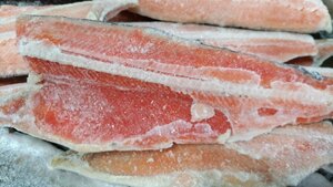 [Sea shelf special sale] 1 silver salmon fillet, about 200g-250g