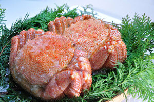 Hokkaido frozen boiled hair crab around 500g (1) [E] Hokkaido direct sales ☆ Hair crab ☆