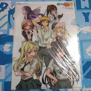 I have few friends Clear Files Unopened New New not for sale Hirasaka Reader Tinpo Anime Drawing Potaburu
