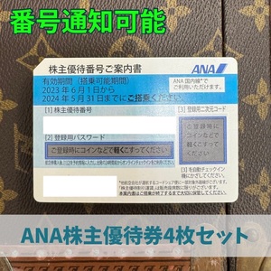 Daikokuya] ANA Shareholder Appendix 4 sets Oppangor May 31, 2024 Numbers Notification available ordinary postal free shipping