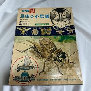 ★ Rare ★ Rare ★ Maruzan Marsan Insect's mysterious insect The structure of the body of insects that can be understood at a glance Showa retro at the time