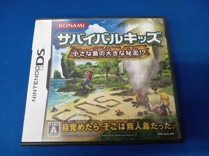 Nintendo DS Survival Kids Large secrets of small islands!??