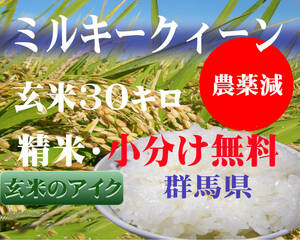 Milky Queen Brown Rice 30kg (If you give instructions, white rice, no -washed rice, small phase right before delivery is free freshness is free of freshness) New rice ● Gunma Prefecture's direct low -pesticide shipping available