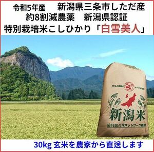 5th year Production Niigata Koshi Hikari Brown Rice 30kg × 2 bags Sanjo City, Niigata Prefecture Old Sanjo City, Niigata Prefecture Certificate Special Cultivated Rice 100% Snow Beauty Gluten Free