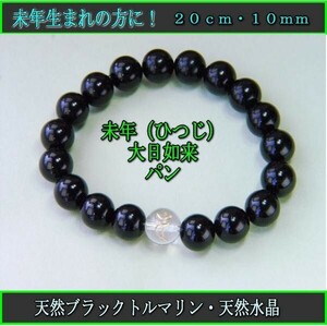 free shipping! For those who were not un (sheep)! Dainichi Nyorai [Bread] Natural Black Toll Marine 10mm Bracelet