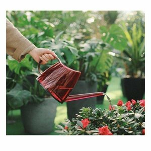 Joro Fashionable 1.4L Indoor houseplant succulent plants Cute Interior Interior Rain Dew Dew Dew Dew Dew Dew Gardening Luxury Tip