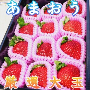 Special Selection Strawberry [Fukuoka Amaou] Large Strawberry Box Gift BOX Gift Celebration Strawberry Valentine's Day Gift Offering Large Cake