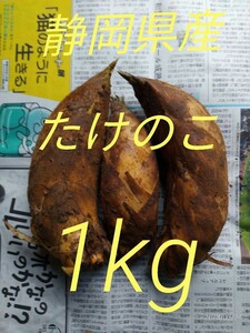 First product in Shizuoka Prefecture (March 6, 6) Bamboo shoot M size 3 pieces 1000g