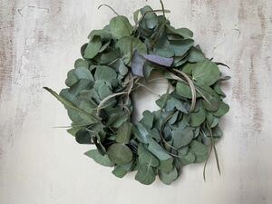 Eucalyptus and Grevi Rare Lease Antique Dry Flower Handmade