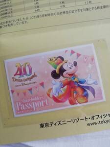 TDR Disney Resort (Land or Sea) Shareholder Special Passport [expiration date June 30, 2024]
