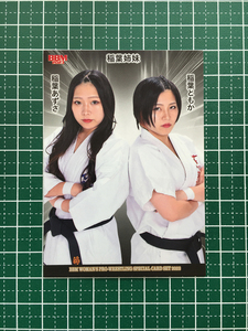 ★ BBM 2023 Women's professional wrestling card Ambitioous !! #28 Azusa Inaba / Tomoka Inaba [Inaba Sister] Regular Card "Team" ★