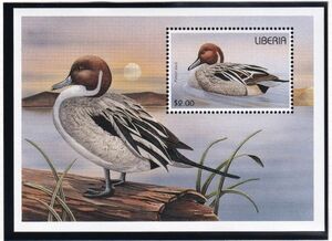 (TBD0911) Liberia 1996 birds