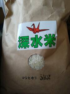Farmers direct purchase special price, Koshihikari Order from Tochigi Prefecture 5kg More than 5kg