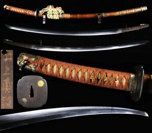 Edo period swordsmith "Inoue Masamai" Inscription Sword 2 Shaku 2 -dimensional, Kanashiko Tachikosei, Sansan Kiri Kirin Kashiwazu no Maruhasan, Soukun, Edo period early new sword west Yokozuna [63101WQY]
