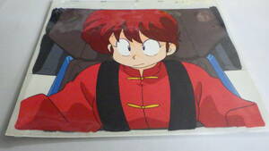 Cell picture/Ranma 1/2/B510