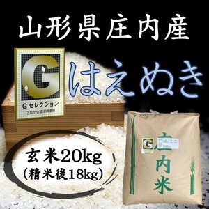 ○ G selection! Order 5 years! Yamagata Shonai is from Enoki Brown rice 20kg (white rice 18kg) Free shipping