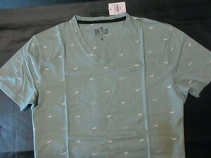 Genuine genuine ◆ Hollister ◆ T-shirt V neck multi-seagal 0806-100 Light green ■ M ■ New/100 % cotton