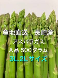 Asparagus from Nagasaki 3L.2L size 500 grams