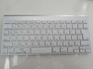 Apple keyboard A1314 [Junk, Free Shipping]