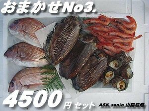 Freshness is life !! "Omakase Set 4500" ASK lucky bag translation of Sanin Sakaimino
