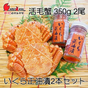 [Crab Marumasa] Hokkaido Burning Crab 350g 2 Tail Hokkaido Gero Higa Masaru Oil 90g 2 Seafood Set