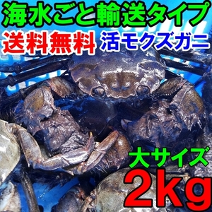 Large-sized crab large size 2kg (approximately 9-15 cups) Tsugani Tsuganagana Delivery area limited items (Shikoku China Kyushu Okinawa is not possible) In addition, small and middle size is also exhibited.