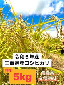 5 years harvest of Koshihikari from Mie Prefecture 5kg rice rice (white rice) production area / farmer direct delivery ②