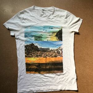 Hollister Hollister Illustration T -shirt Print Wilderfin Surfing Beach