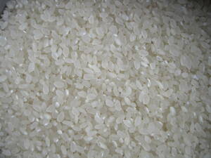 1 special price "Akitakomachi" Brown rice 20 km 5000 yen