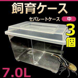 【RK】Breeding Case Separate Case Medium 7.0L New 3 Pieces Beetle / Stag Ideal for Adult Breeding Suppression of Beetles