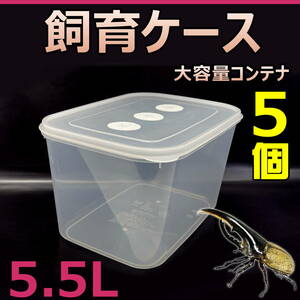 【RK】Breeding Case Large Capacity Container 5.5L New 5 Pieces With Bonus Domestic Foreign Beetle Ideal for Larvae Breeding! Thai vest seal with reserve