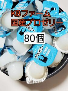[Free Shipping] Domestic Professional Jelly 16g 80 pieces KB Farm Insect Jelly Kabutomushi Watakata Hamster small animals