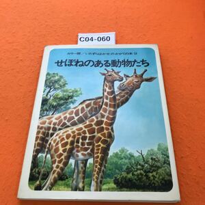 C04-060 Manko is a book of kagakase 9 Animal with a back back cover, adhesive-like adhesion