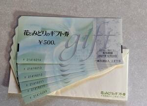 Flowers and green gift vouchers ・ 21416209-21416214 ・ 500 yen x6 pieces, expiration date, December 31, 2027