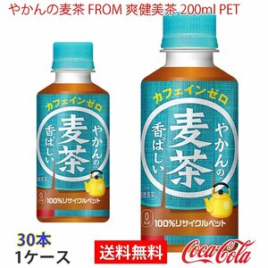 Prompt decision from barley tea from Souken Mija 200ml PET 1 case 30 bottles (CCW-4902102153867-1F)