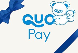 QUO Card Pay 1000 yen Divided trading Navi Code notification Quo Card Pay