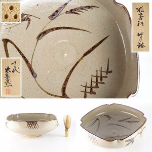 [Ogiya] Taro Nakazatoemon "Picture Karatsu Shigata Bowl" Co -box height approx.