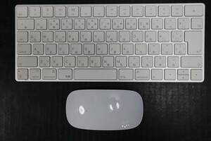 E7707 Y [Apple genuine] keyboard (A1644) mouse (A1657) set