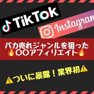 [2024 specifications] Shooting the Z generation with Tiktok without the need to appear! The strongest affiliate strategy /side job, SNS, at home work aimed at a "stupid selling genre"