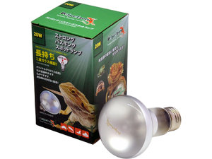 ☆ Strong Basking Spot Lamp 20W Pet Pet Zone (Petpetzone) Zensui Lunch -integrated reptile New heat insulation tax 0 yen ☆