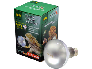 ☆ Strong Basking Spot Lamp 100W Pet Pet Zone (Petpetzone) Zensui Lunch -integrated reptile New consumption tax 0 yen ☆