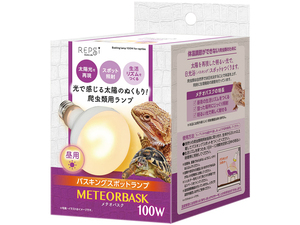 ☆ Meteor Baskan 100W Marcan (MARUKAN) Repsy (Repsi) Lightning Type Restoration Tax New Consumption Tax 0 yen ☆