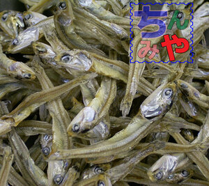 Eat boiled dried (100g x 5P) Domestic Kakuchi sardine child (Iriko) size! Snacks boiled snacks, snacks boiled ♪ boiled delicacies, small fish delicacies [Shipping included]