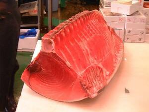 More than 800g of middle toro! Blacker tuna! ! ◆ Free shipping ◆