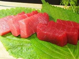 Toro over 1k in total ☆ Lean ☆ Negitoro natural book tuna! 【free shipping】