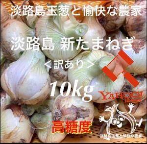&lt;Resdo&gt; Awajishima no new onion 10kg high sugar content new onion new new onion new onion
