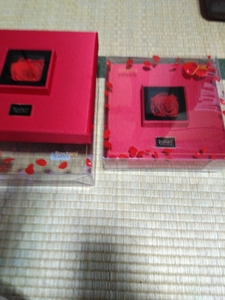 [Bostani] Gift box only (with preserved flower) two beautiful goods