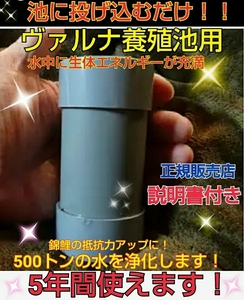 Regular dealer ☆ With instructions! The water in the pond is beautifully [for Varna ☆ Captivated Pond] The transparency is improved and pathogenic bacteria and infectious diseases are strongly suppressed! Nishikigoi is activated and supported after purchase