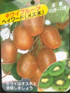 Kiwi fruit (Hayward &amp; Trim) Sales and Senaiki