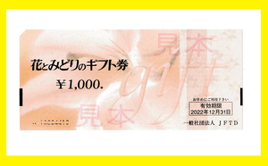 Flowers and green gift vouchers 1000 yen